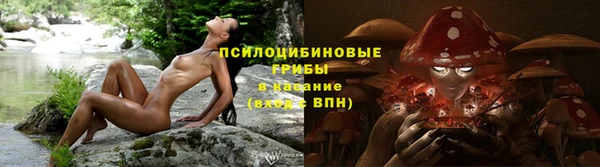 кокс Абаза
