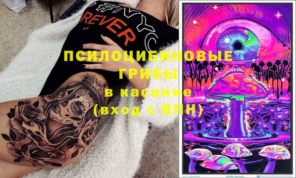 ГАЛЛЮЦИНОГЕННЫЕ ГРИБЫ Алексеевка