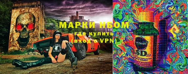 мяу мяу мука Алзамай