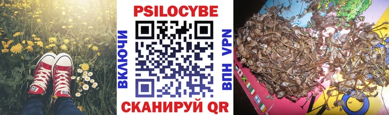 закладки  Ливны  Галлюциногенные грибы MAGIC MUSHROOMS 